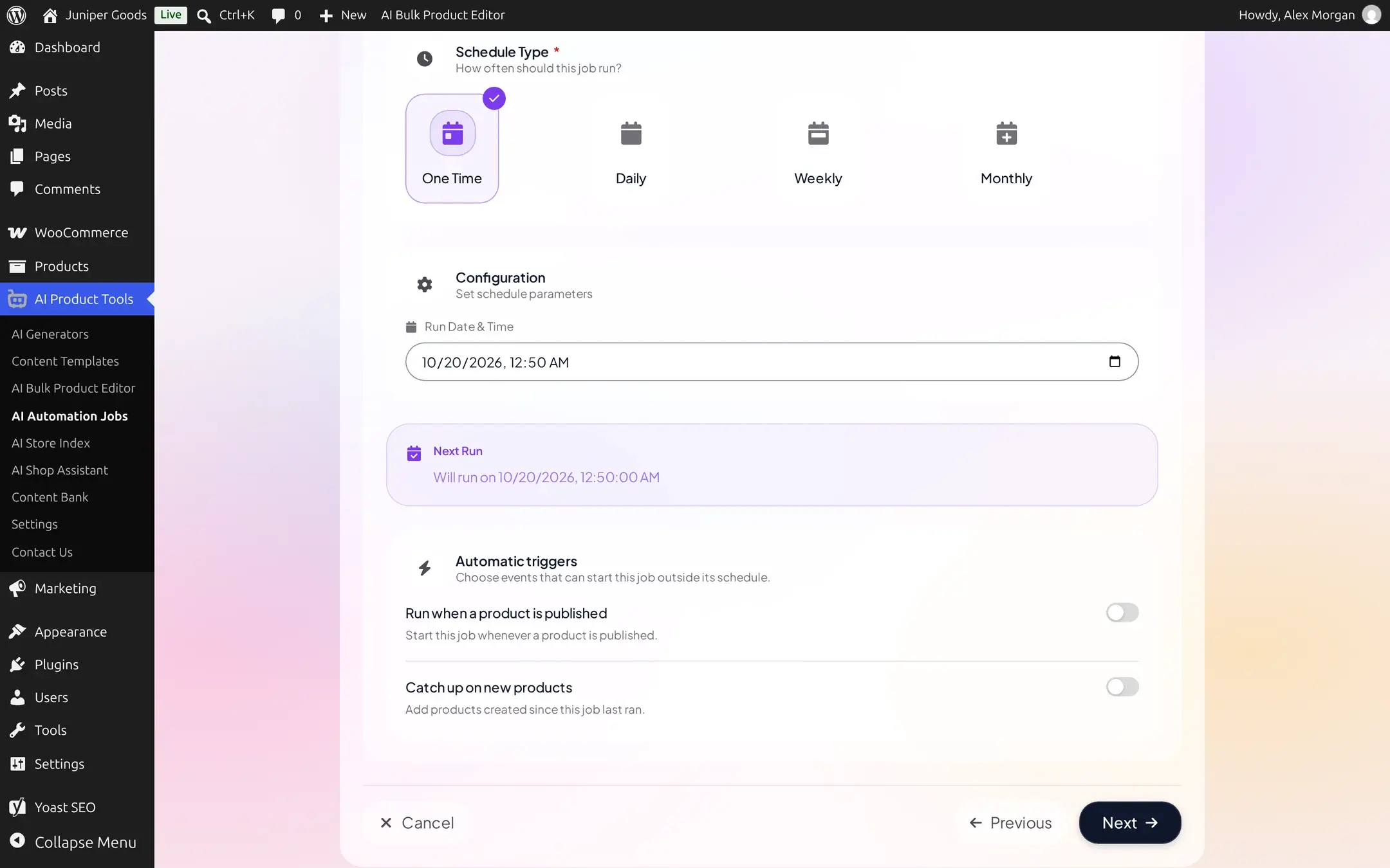 Schedule step with One Time selected, a Run Date and Time field, a Next Run preview, and two Automatic triggers toggles